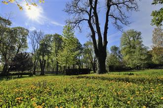 Zámecký park, foto Jan Žirovnický, Zámek Liteň